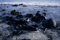 Cape Verde - Isla do Sal by Vito Lorusso 